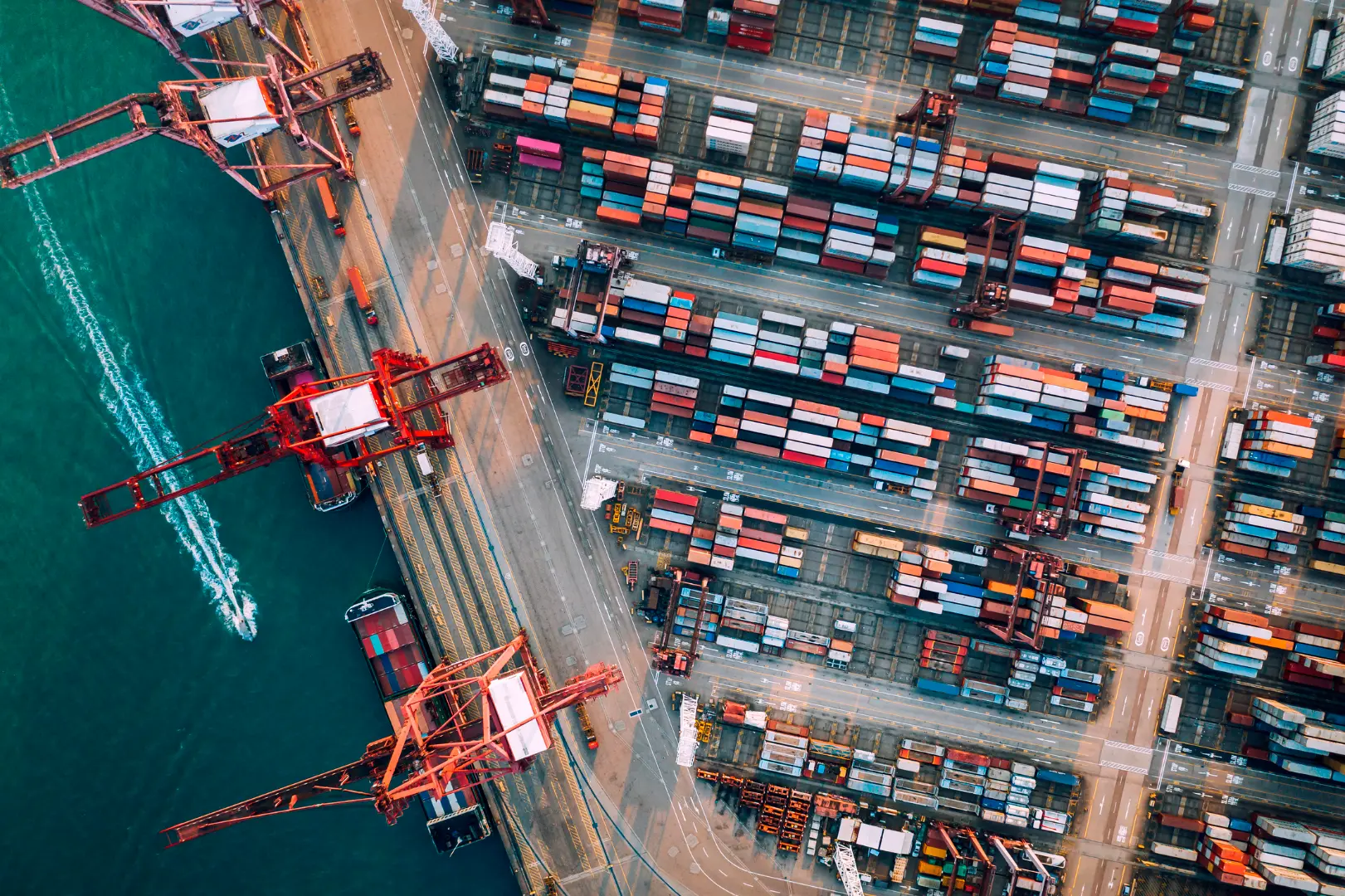 Imagem Inteligência